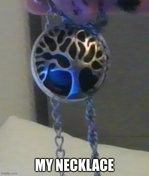 Isn't it pretty? | MY NECKLACE | made w/ Imgflip meme maker
