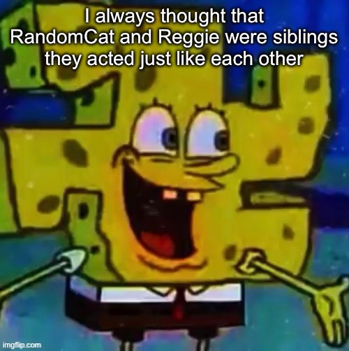 nazi SpongeBob | I always thought that RandomCat and Reggie were siblings they acted just like each other | image tagged in nazi spongebob | made w/ Imgflip meme maker