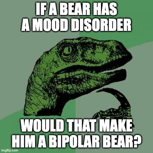 Bipolar Bears | IF A BEAR HAS A MOOD DISORDER; WOULD THAT MAKE HIM A BIPOLAR BEAR? | image tagged in memes,philosoraptor | made w/ Imgflip meme maker