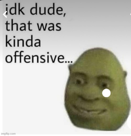 Idk dude that was kinda offensive | image tagged in idk dude that was kinda offensive | made w/ Imgflip meme maker