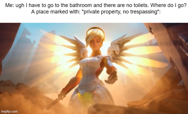 Perfect place to use the bathroom | Me: ugh I have to go to the bathroom and there are no toilets. Where do I go?
A place marked with: "private property, no trespassing": | image tagged in memes,bathroom,funny,so true memes,oh wow are you actually reading these tags,overwatch mercy meme | made w/ Imgflip meme maker