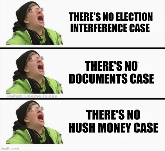 Whining Liberal | THERE'S NO ELECTION INTERFERENCE CASE THERE'S NO DOCUMENTS CASE THERE'S NO HUSH MONEY CASE | image tagged in whining liberal | made w/ Imgflip meme maker