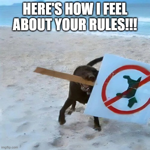 No Dogs | HERE'S HOW I FEEL ABOUT YOUR RULES!!! | image tagged in dogs | made w/ Imgflip meme maker