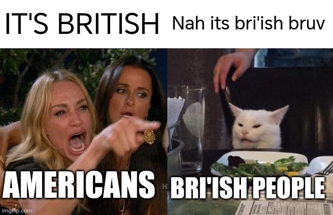 Idk but my first meme yay :) | IT'S BRITISH; Nah its bri'ish bruv; AMERICANS; BRI'ISH PEOPLE | image tagged in memes,woman yelling at cat | made w/ Imgflip meme maker