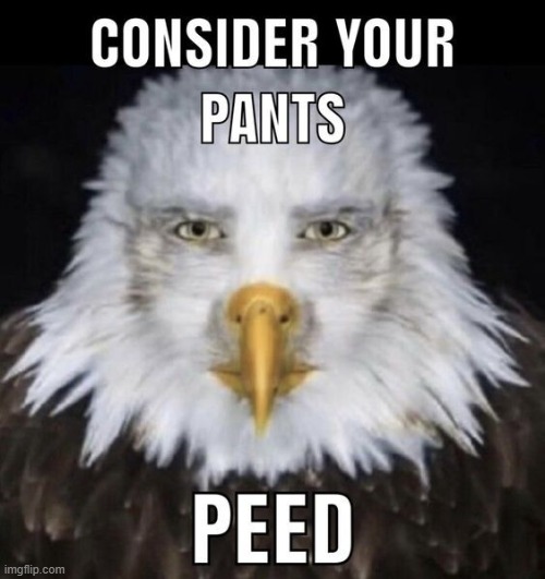 Consider your pants peed | image tagged in memes,funny,shitpost,lol,daily meme | made w/ Imgflip meme maker