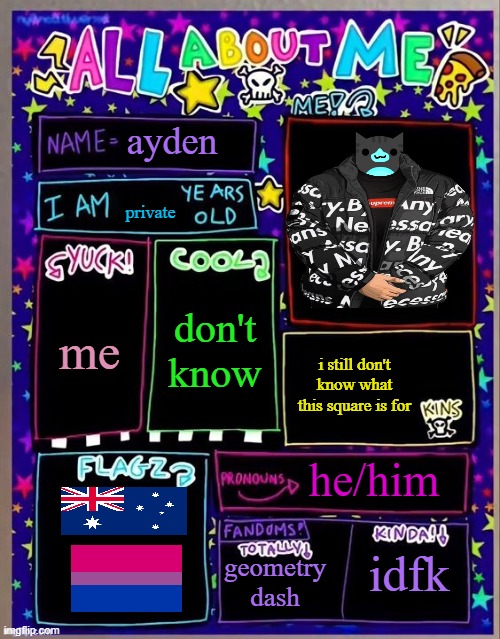 All about me! (Og temp by Jade) | ayden; private; don't know; me; i still don't know what this square is for; he/him; geometry dash; idfk | image tagged in all about me og temp by jade | made w/ Imgflip meme maker
