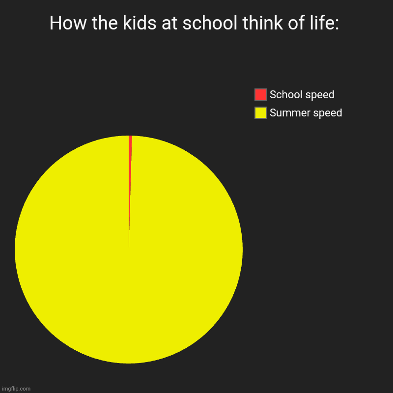 How the kids at school think of life: | Summer speed, School speed | image tagged in charts,pie charts | made w/ Imgflip chart maker