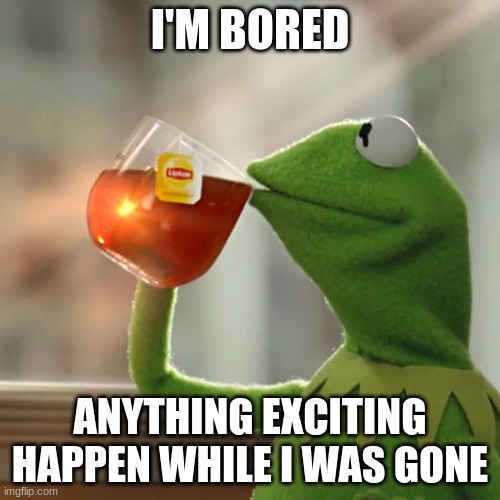 But That's None Of My Business | I'M BORED; ANYTHING EXCITING HAPPEN WHILE I WAS GONE | image tagged in memes,but that's none of my business,kermit the frog | made w/ Imgflip meme maker