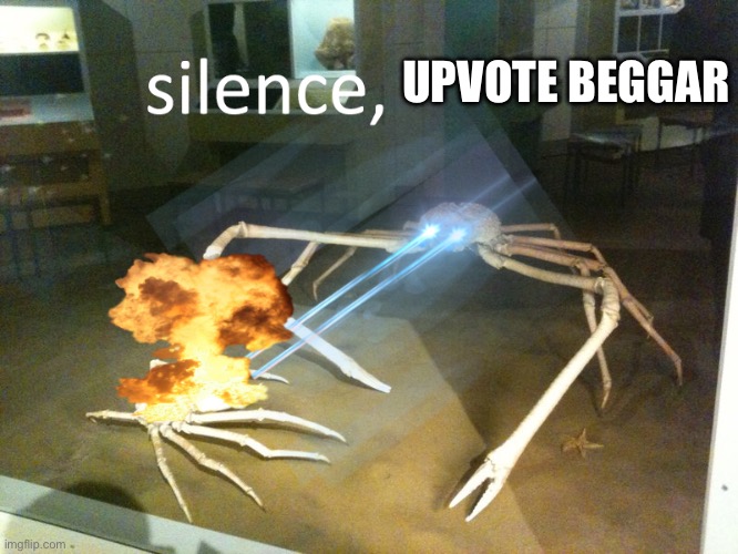 silence | UPVOTE BEGGAR | image tagged in silence | made w/ Imgflip meme maker