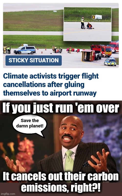 Save the damn planet! | If you just run 'em over; Save the
damn planet! It cancels out their carbon
emissions, right?! | image tagged in memes,steve harvey,climate protestors,climate change,global warming,democrats | made w/ Imgflip meme maker