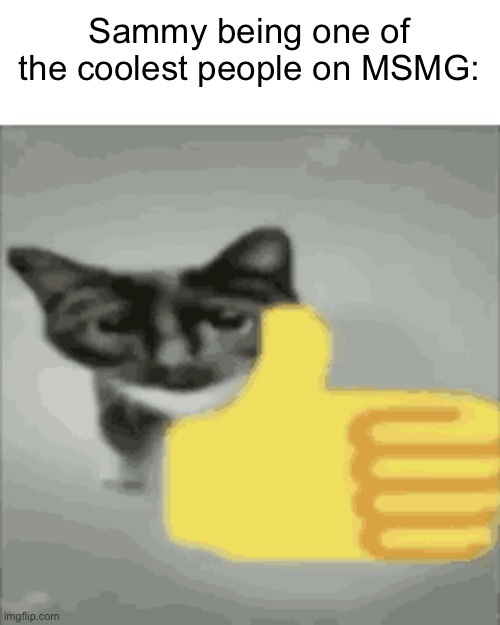 (Sorry if it’s shitty I’m not good at making slanders) MSMG slander# uhhhh | Sammy being one of the coolest people on MSMG: | image tagged in cat thumbs up | made w/ Imgflip meme maker