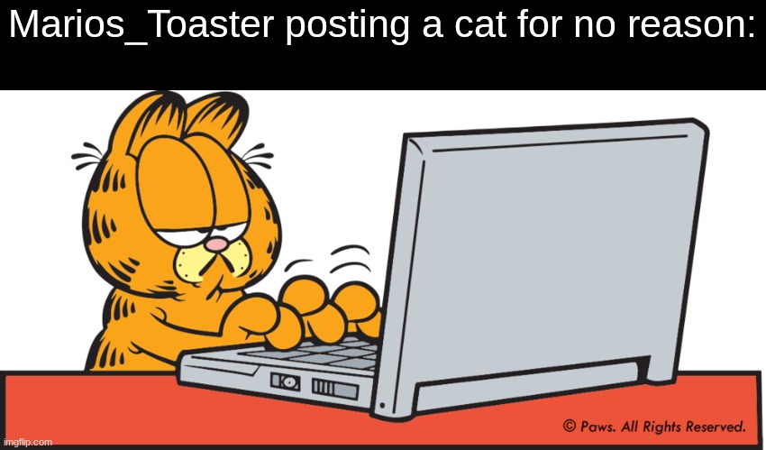Garfield on computer | Marios_Toaster posting a cat for no reason: | image tagged in garfield on computer | made w/ Imgflip meme maker