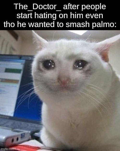 Crying cat | The_Doctor_ after people start hating on him even tho he wanted to smash palmo: | image tagged in crying cat | made w/ Imgflip meme maker