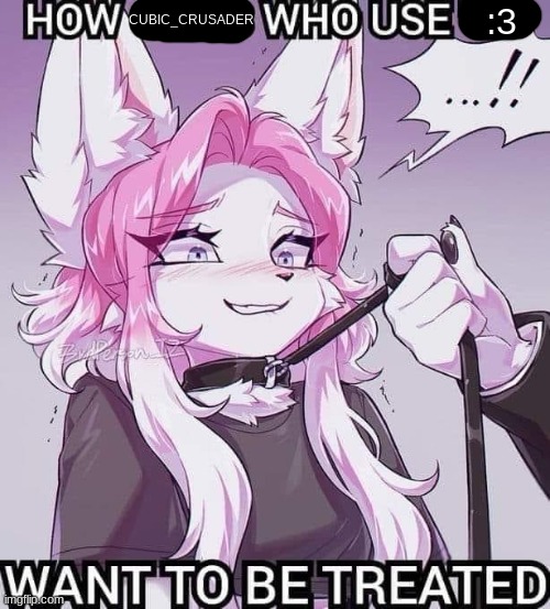 how girls that use :3 want to be treated blank | CUBIC_CRUSADER; :3 | image tagged in how girls that use 3 want to be treated blank | made w/ Imgflip meme maker