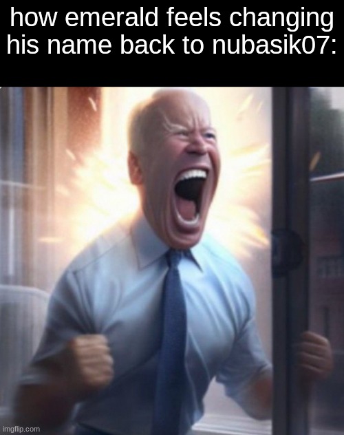 Biden Lets Go | how emerald feels changing his name back to nubasik07: | image tagged in biden lets go | made w/ Imgflip meme maker