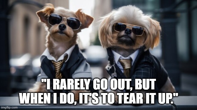 You too are stylish | "I RARELY GO OUT, BUT WHEN I DO, IT'S TO TEAR IT UP." | image tagged in funny dogs,funny memes,hot | made w/ Imgflip meme maker