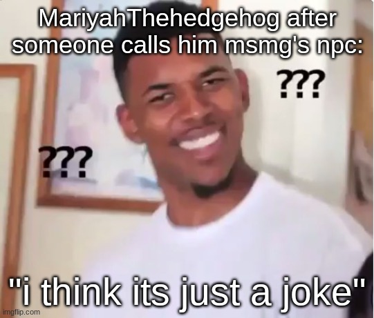 confused nick young | MariyahThehedgehog after someone calls him msmg's npc:; "i think its just a joke" | image tagged in confused nick young | made w/ Imgflip meme maker