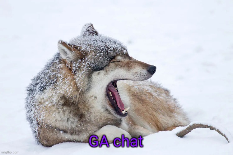 Yawning wolf | GA chat | image tagged in yawning wolf | made w/ Imgflip meme maker
