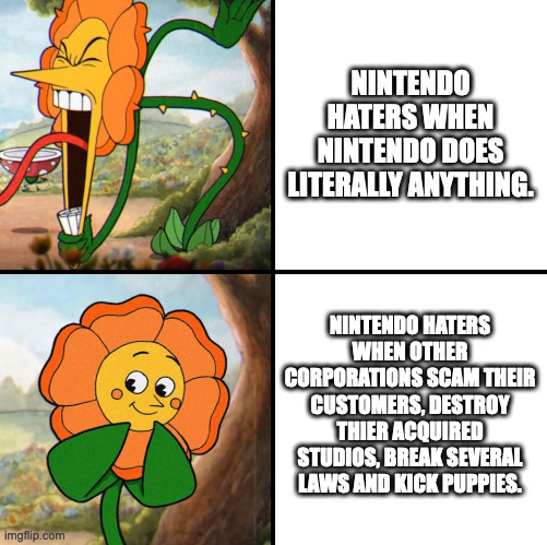 Remember this next time you hear Nintendo is doing something bad. | NINTENDO HATERS WHEN NINTENDO DOES LITERALLY ANYTHING. NINTENDO HATERS WHEN OTHER CORPORATIONS SCAM THEIR CUSTOMERS, DESTROY THIER ACQUIRED STUDIOS, BREAK SEVERAL LAWS AND KICK PUPPIES. | image tagged in angry flower,nintendo | made w/ Imgflip meme maker