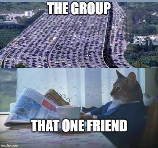 IN BETWEEN CHAOS | THE GROUP; THAT ONE FRIEND | image tagged in cat reading newspaper | made w/ Imgflip meme maker