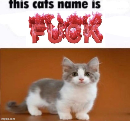 something so alluring about fire words | made w/ Imgflip meme maker