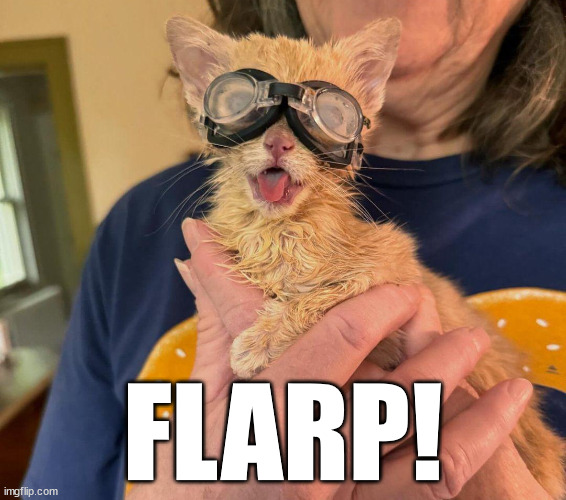 FLARP | FLARP! | image tagged in flarp | made w/ Imgflip meme maker