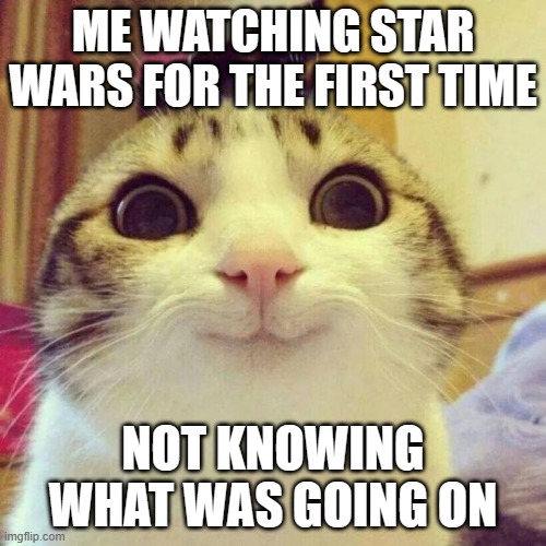 Smiling Cat Meme | ME WATCHING STAR WARS FOR THE FIRST TIME; NOT KNOWING WHAT WAS GOING ON | image tagged in memes,smiling cat | made w/ Imgflip meme maker