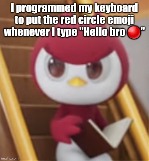 BOOK ❗️ | I programmed my keyboard to put the red circle emoji whenever I type "Hello bro 🔴" | image tagged in book | made w/ Imgflip meme maker