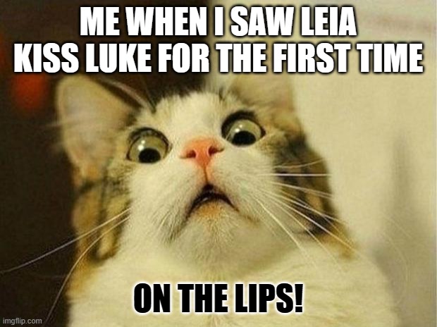 Scared Cat Meme | ME WHEN I SAW LEIA KISS LUKE FOR THE FIRST TIME; ON THE LIPS! | image tagged in memes,scared cat | made w/ Imgflip meme maker