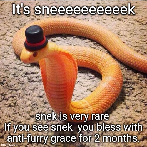 Dapper Snek | It's sneeeeeeeeeek; snek is very rare 
If you see snek  you bless with anti-furry grace for 2 months. | image tagged in dapper snek | made w/ Imgflip meme maker