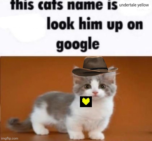 this cats name is x look him up on google | undertale yellow | image tagged in this cats name is x look him up on google | made w/ Imgflip meme maker