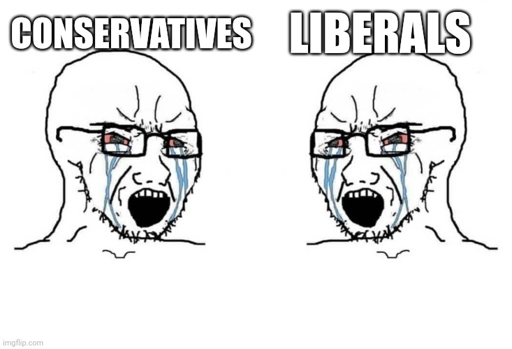 Virgin vs Virgin | CONSERVATIVES; LIBERALS | image tagged in virgin vs virgin | made w/ Imgflip meme maker