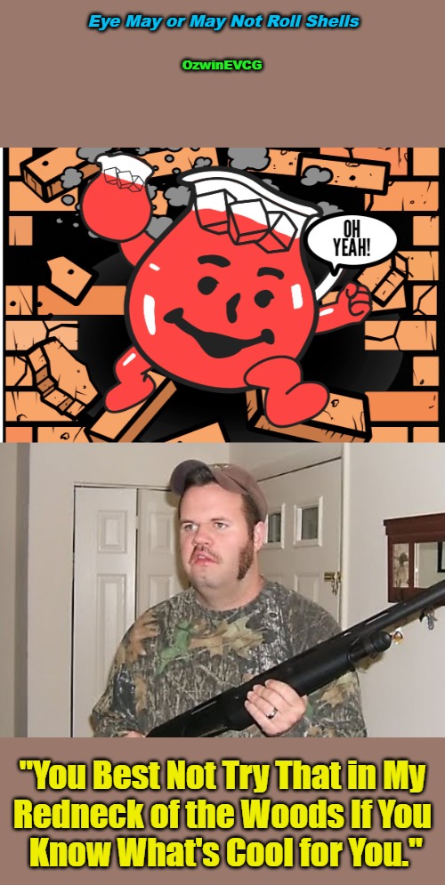Eye May or May Not Roll Shells | Eye May or May Not Roll Shells; OzwinEVCG; "You Best Not Try That in My 

Redneck of the Woods If You 

Know What's Cool for You." | image tagged in guns,rednecks,tribute,memes,kool-aid,advice | made w/ Imgflip meme maker
