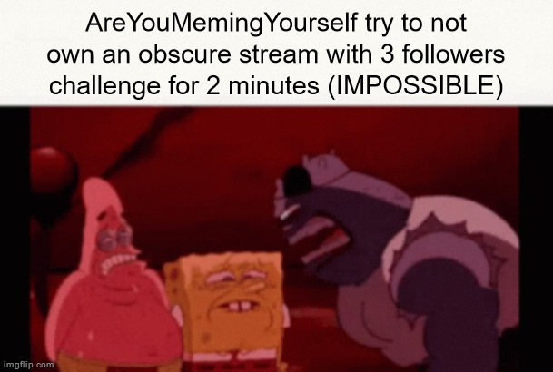 AreYouMemingYourself try to not own an obscure stream with 3 followers challenge for 2 minutes (IMPOSSIBLE) | made w/ Imgflip meme maker