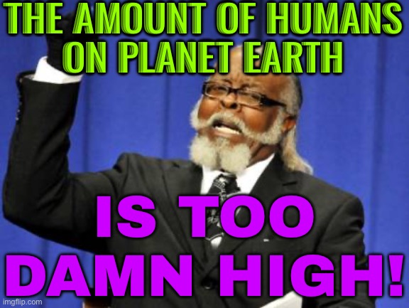 The Amount Of Humans On Planet Earth | THE AMOUNT OF HUMANS
ON PLANET EARTH; IS TOO DAMN HIGH! | image tagged in memes,too damn high,earth,environment,humanity,evolution | made w/ Imgflip meme maker