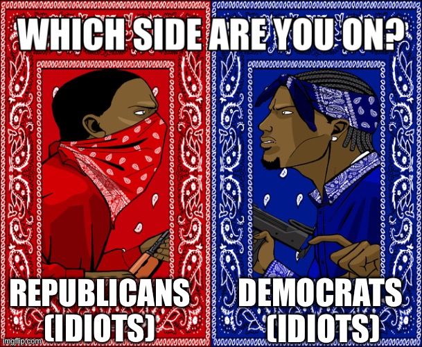 Politics | DEMOCRATS  (IDIOTS); REPUBLICANS (IDIOTS) | image tagged in which side are you on | made w/ Imgflip meme maker