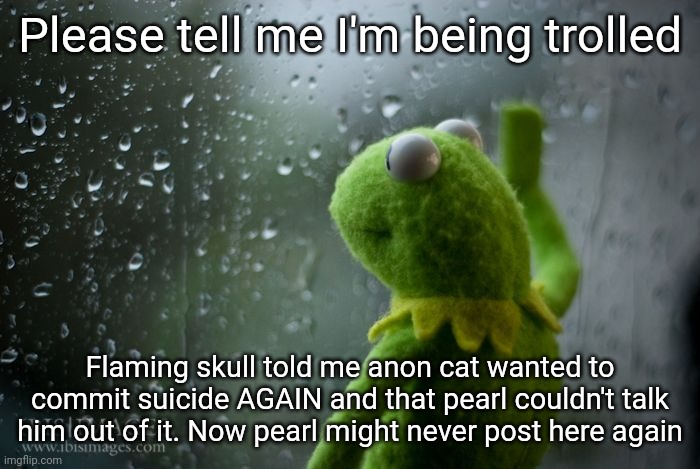 :( | Please tell me I'm being trolled; Flaming skull told me anon cat wanted to commit suicide AGAIN and that pearl couldn't talk him out of it. Now pearl might never post here again | image tagged in kermit window | made w/ Imgflip meme maker