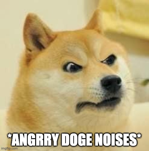 angry doge | *ANGRRY DOGE NOISES* | image tagged in angry doge | made w/ Imgflip meme maker