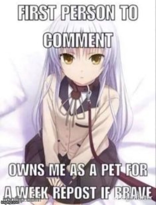 first person to comment owns as a pet for a week | image tagged in first person to comment owns as a pet for a week | made w/ Imgflip meme maker