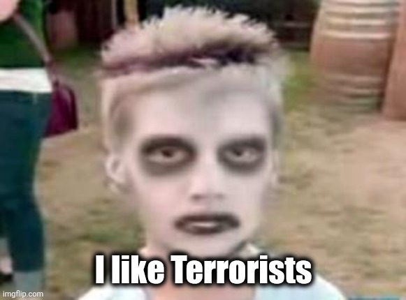 I like turtles | I like Terrorists | image tagged in i like turtles | made w/ Imgflip meme maker