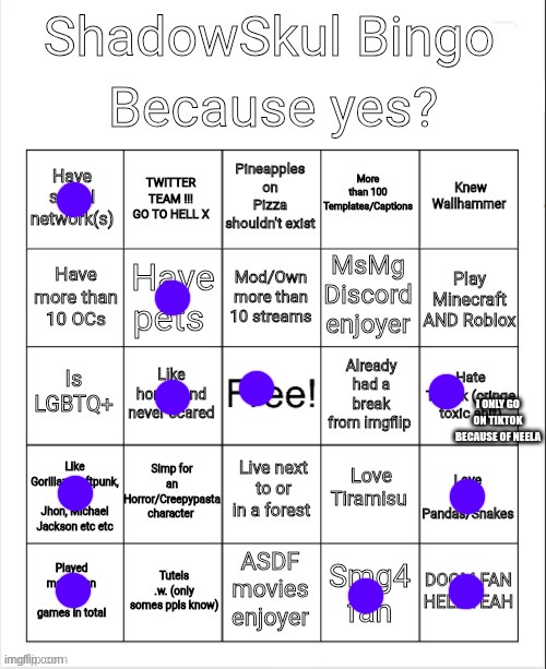 Shadow bingo | I ONLY GO ON TIKTOK BECAUSE OF NEELA | image tagged in shadow bingo | made w/ Imgflip meme maker