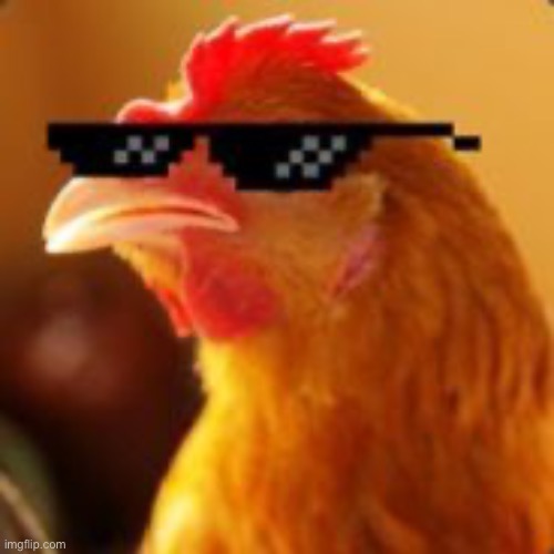 Thug Life Chicken | image tagged in thug life chicken | made w/ Imgflip meme maker