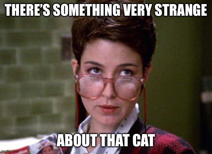 THERE’S SOMETHING VERY STRANGE ABOUT THAT CAT | image tagged in there's something very strange about that man | made w/ Imgflip meme maker
