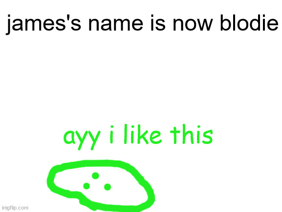 Blank White Template | james's name is now blodie; ayy i like this | image tagged in blank white template | made w/ Imgflip meme maker