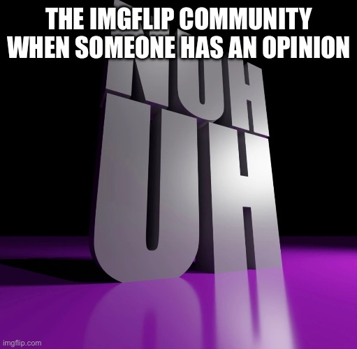 NUH UH | THE IMGFLIP COMMUNITY WHEN SOMEONE HAS AN OPINION | image tagged in nuh uh 3d | made w/ Imgflip meme maker