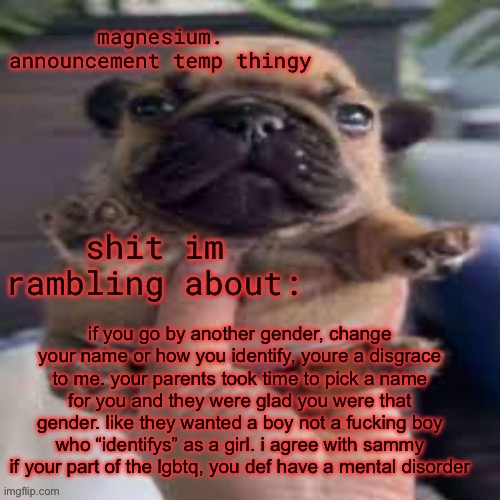 pug temp | if you go by another gender, change your name or how you identify, youre a disgrace to me. your parents took time to pick a name for you and they were glad you were that gender. like they wanted a boy not a fucking boy who “identifys” as a girl. i agree with sammy if your part of the lgbtq, you def have a mental disorder | image tagged in pug temp | made w/ Imgflip meme maker