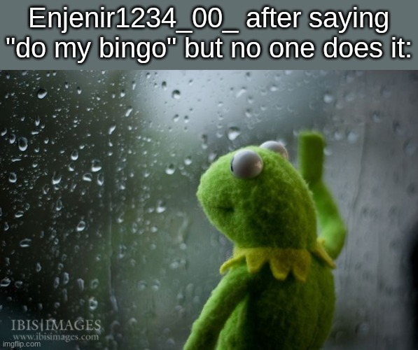 kermit window | Enjenir1234_00_ after saying "do my bingo" but no one does it: | image tagged in kermit window | made w/ Imgflip meme maker