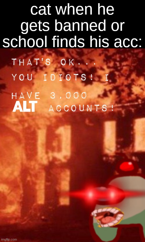 That's ok... You idiots! i have 3000 ALT accounts! | cat when he gets banned or school finds his acc: | image tagged in that's ok you idiots i have 3000 alt accounts | made w/ Imgflip meme maker
