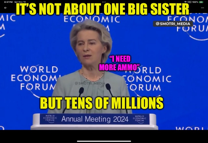 Big Sister | IT’S NOT ABOUT ONE BIG SISTER; “I NEED MORE AMMO”; BUT TENS OF MILLIONS | image tagged in big sister,police state,nwo police state,political memes,political humor,scumbag europe | made w/ Imgflip meme maker