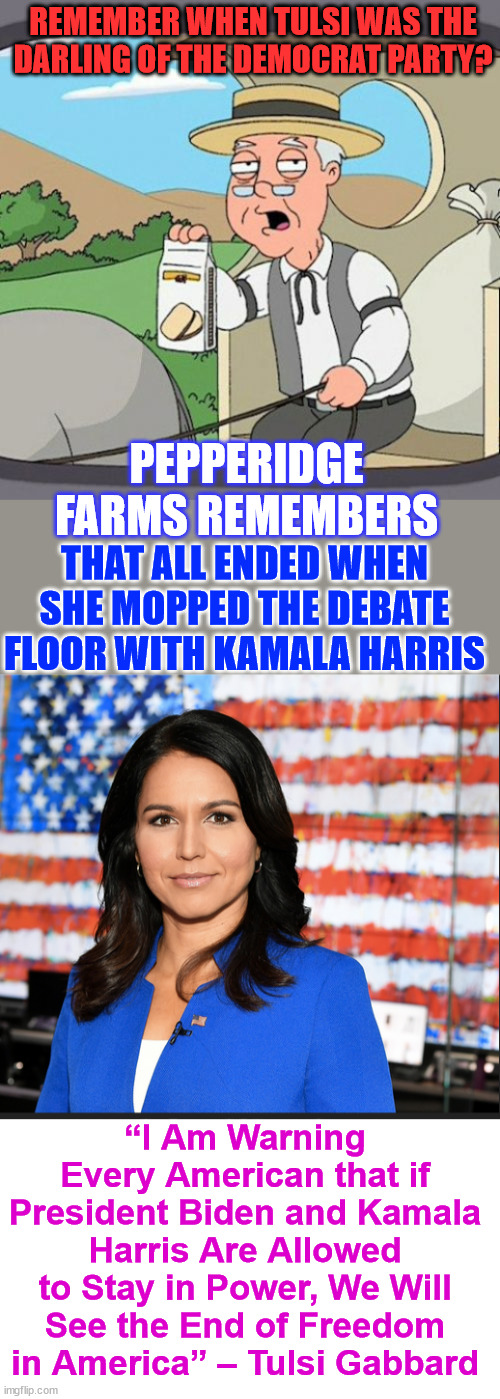 The party of inclusion does not like it when members tell the truth. | REMEMBER WHEN TULSI WAS THE DARLING OF THE DEMOCRAT PARTY? PEPPERIDGE FARMS REMEMBERS; THAT ALL ENDED WHEN SHE MOPPED THE DEBATE FLOOR WITH KAMALA HARRIS; “I Am Warning Every American that if President Biden and Kamala Harris Are Allowed to Stay in Power, We Will See the End of Freedom in America” – Tulsi Gabbard | image tagged in memes,pepperidge farm remembers,tulsi gabbard,exposed,kamala harris,hypocrisy | made w/ Imgflip meme maker